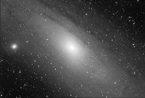 M31